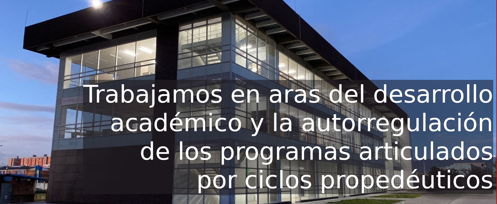 Curriculo y Calidad Facultad Tecnológica