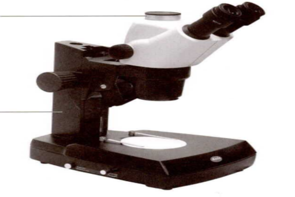 ESTEREOMICROSCOPIO