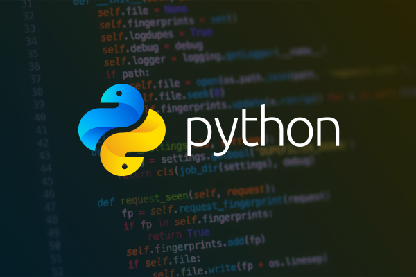 Imagen equipo Python